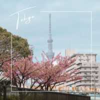 【東京】スカイツリー×桜🌸が撮れる穴場スポット📷´-