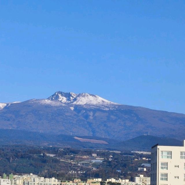 濟州住宿