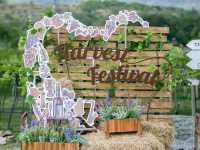 ‘ Monsoon Valley Harvest Festival 2024 ‘ 🍇🍃🧺 