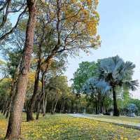 สวนพุทธมณฑล สาย4 