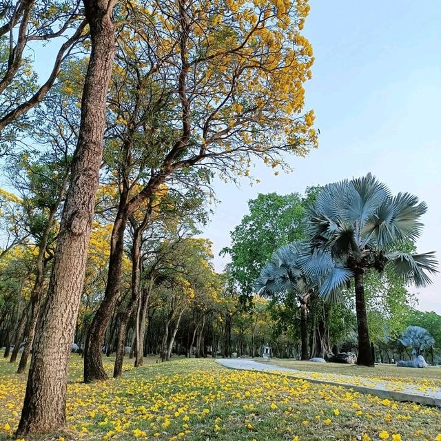 สวนพุทธมณฑล สาย4 