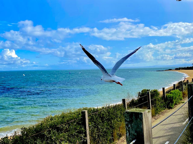 Edward Street Beach