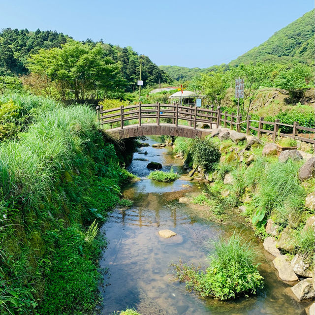 Taipei Trails Await🌳