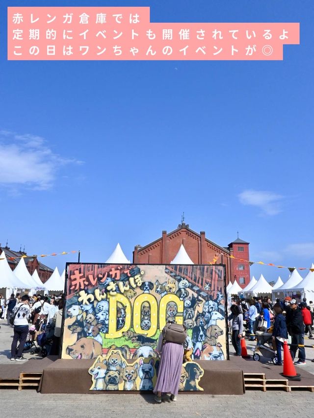 【横浜赤レンガ倉庫】お花見ピクニック💐🍴地元民に愛されるテイクアウト店もご紹介🥤
