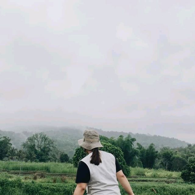แบกเป้ไปเชียงดาว ฉบับคนงบน้อย 🌿⛰️
