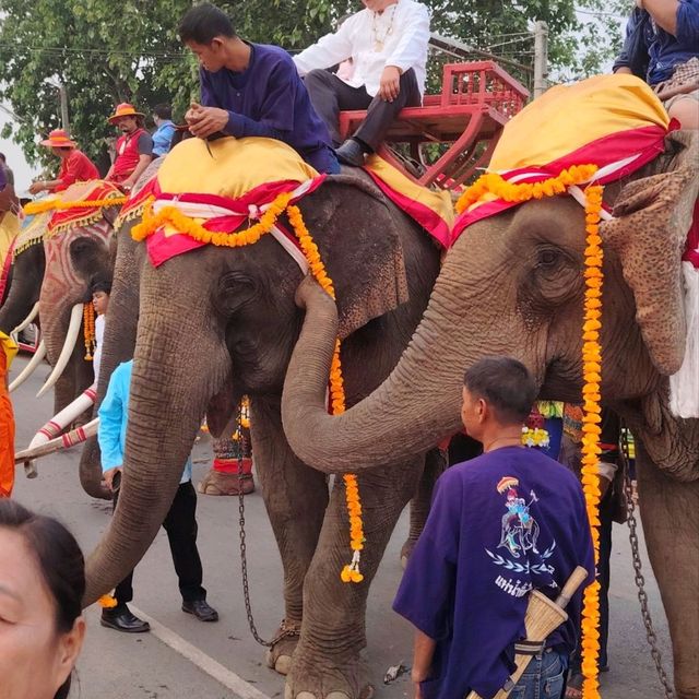 แห่ช้างบวชนาคประจำปี วัดธารชะอม