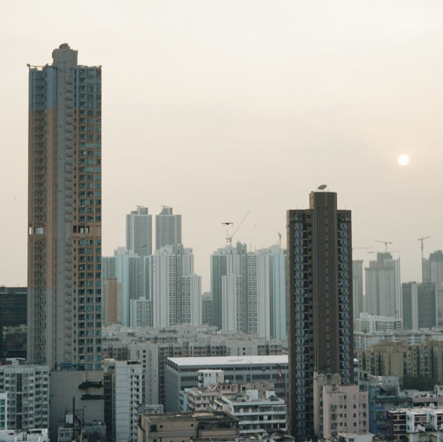🇭🇰 香港 嘉頓山 鬧市裏的世外桃源 🏞️ 輕鬆飽覽九龍景色