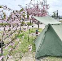 春の関西ソトアソビ🌸豊中市伊丹市グリーンランドひろば