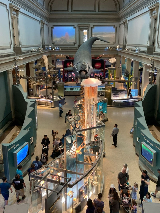 워싱턴DC 무료입장 Museum of Natural History