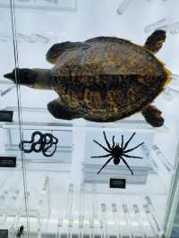 Aquaria KLCC