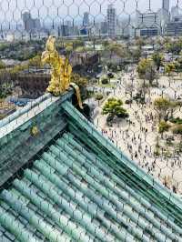 【大阪府】大阪観光に外せない大阪城！！