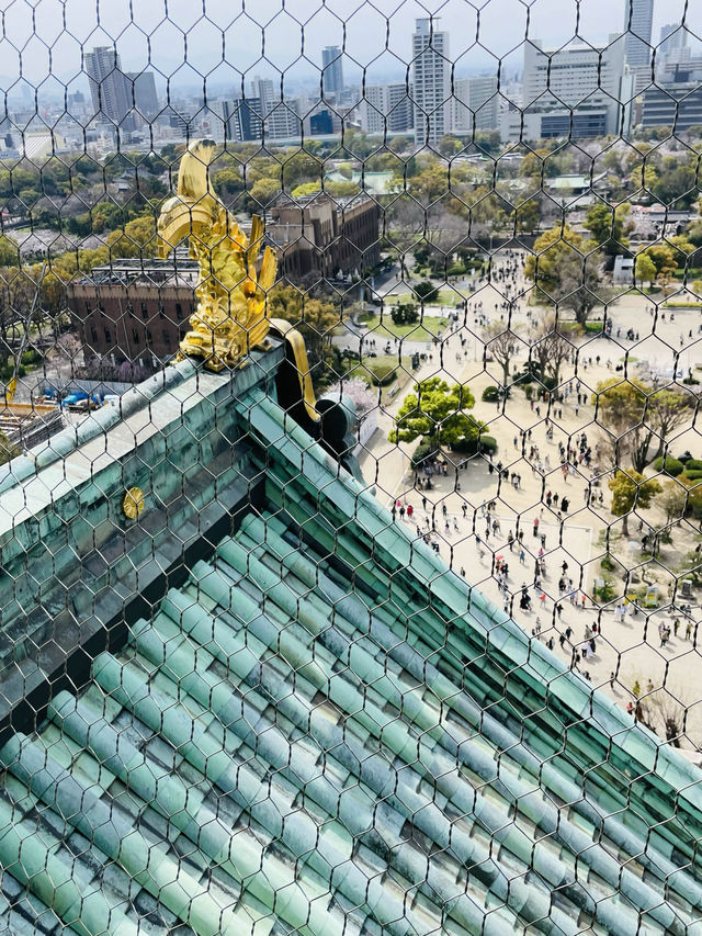 【大阪府】大阪観光に外せない大阪城！！