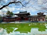 世界遺產——平等院