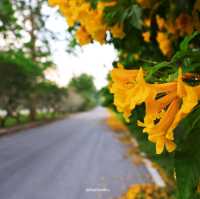 เขื่อนขุนด่านปราการชล นครนายก