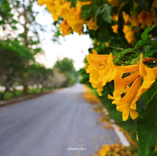 เขื่อนขุนด่านปราการชล นครนายก