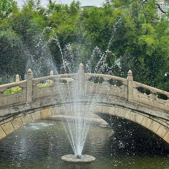 衛武營都會公園：自然的完美🎭🌳