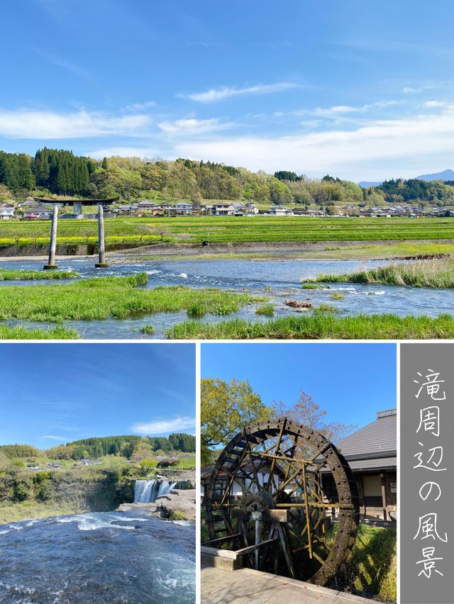 【大分/豊後大野】これが！東洋のナイアガラ！