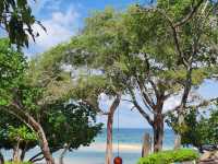 🏝️เกาะกุฎี หนึ่งในอุทยานหมู่เกาะเสม็ด