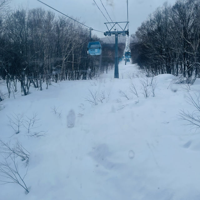 來一個與別不同的白色日本之旅🇯🇵