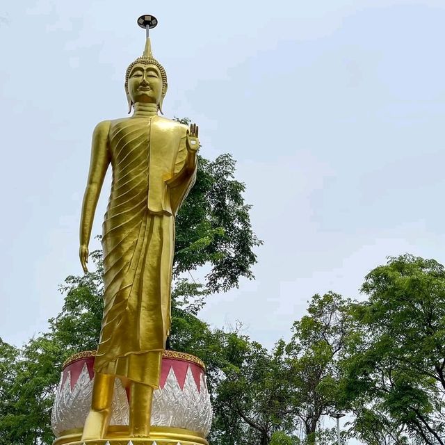 พามาทำยุญวัดป่าสว่างบุญ