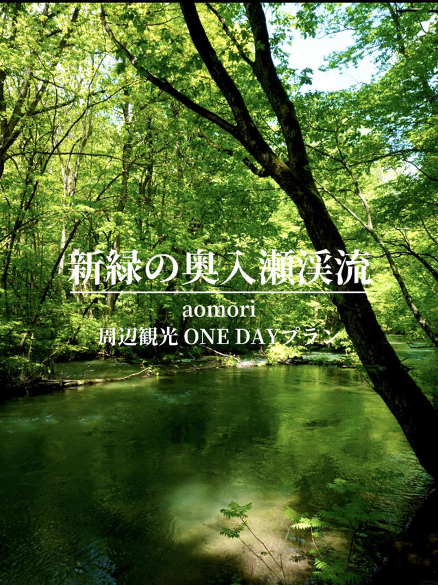 【青森】春は新緑の奥入瀬へ・・ONE DAYプラン