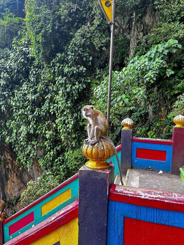 【吉隆坡】彩虹階梯，適合夏天旅遊