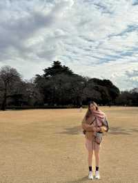 Shinjuku Gyoen National Garden