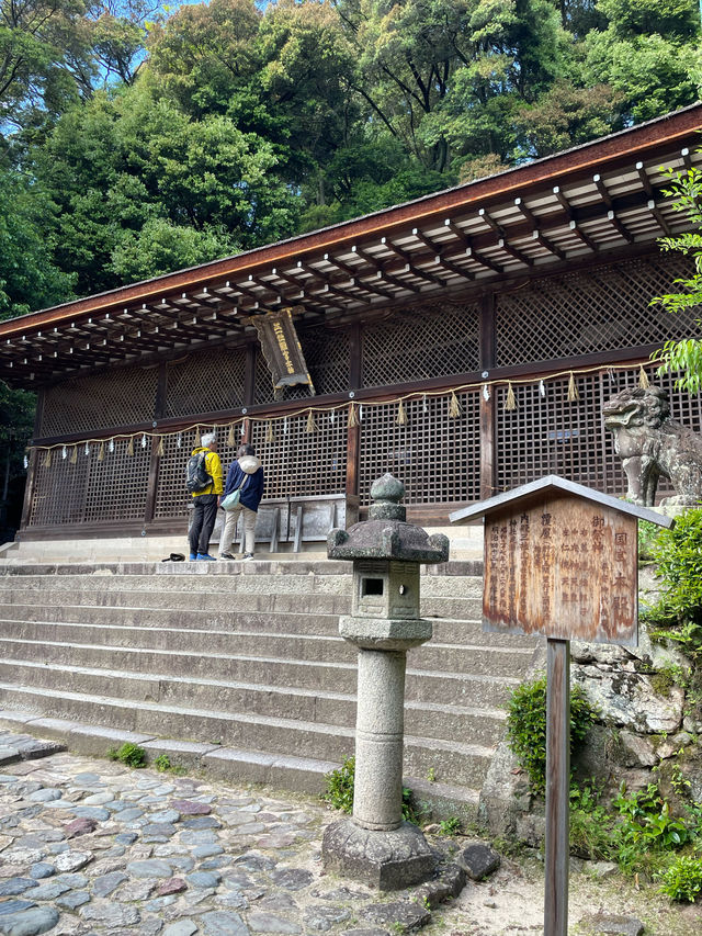 【京都府】世界文化遺産「宇治上神社」を参拝！