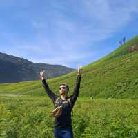 THE GREEN PARADISE OF BROMO