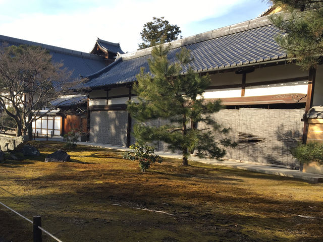 Golden Pavilion of Kyoto 🇯🇵