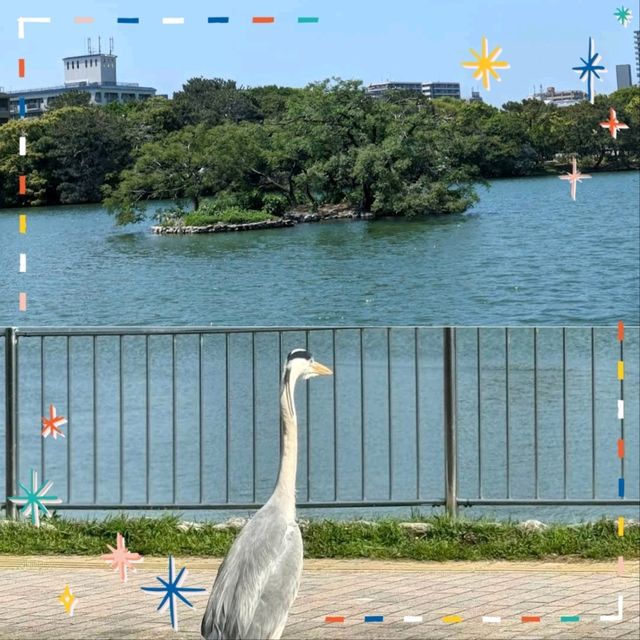 福岡自由行：大濠公園，享受寧靜時光