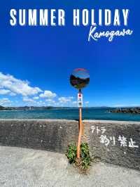 【千葉】エモい夏スポット🏖☀️離島で磯遊び