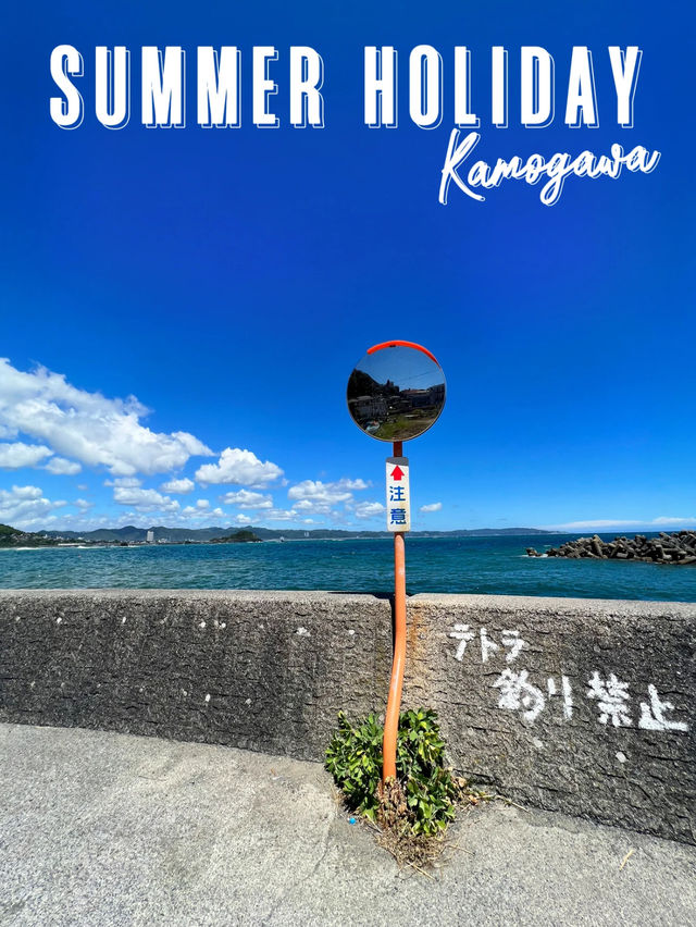 【千葉】エモい夏スポット🏖☀️離島で磯遊び