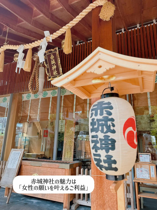 【神楽坂🎍】縁結びを願う❤️初詣スポットを巡るプラン⛩️✨