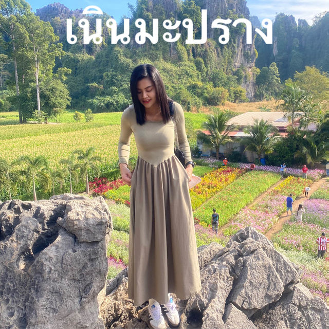 เนินมะปราง