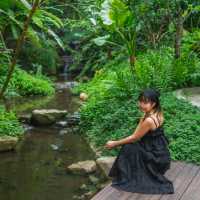 ที่พักวิวเขา ในเมืองเชียงใหม่  🌿