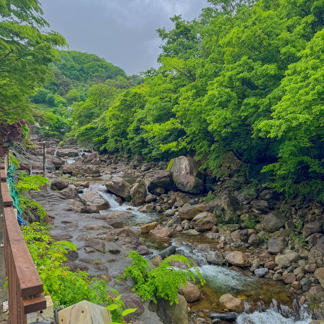 자연친화적 감성 숙소 바베큐 필란드 사우나 지리산펜션 하동펜션 숲캉스 숙소 : 아름다운 산골 