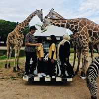 Wild Adventures and Wonder: Kanchanaburi Safari Delights!
