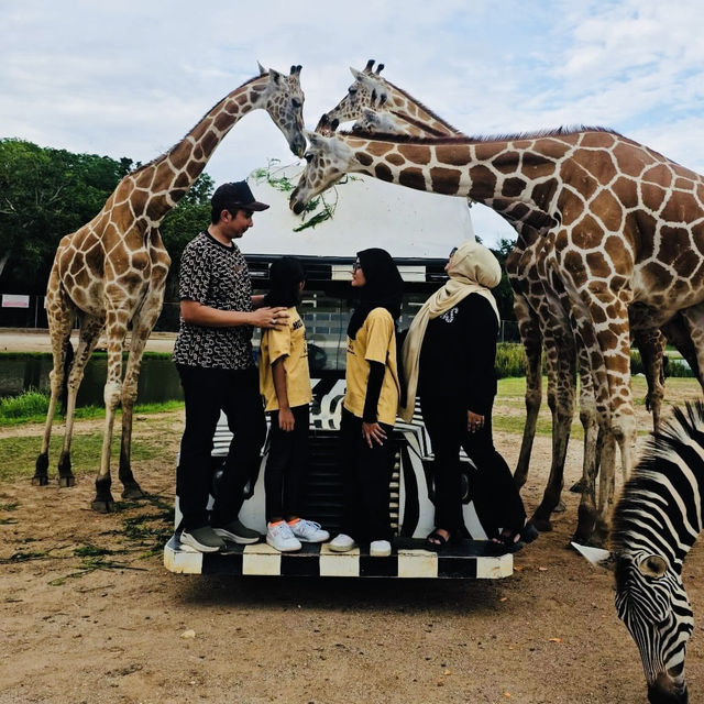 Wild Adventures and Wonder: Kanchanaburi Safari Delights!