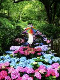 一見の価値あり❣️圧巻のあじさい階段🤗💠💐@奈良・長谷寺