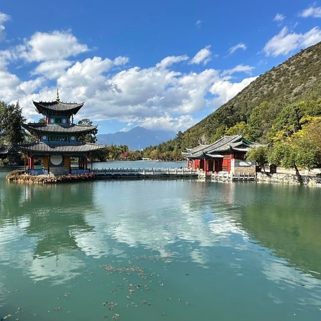 Reflections of Serenity: Black Dragon Pool Park, a Lijiang Gem!