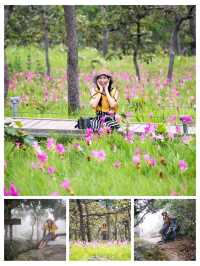 ชี้พิกัดเที่ยวชัยภูมิ : เมืองรองน่าเที่ยว