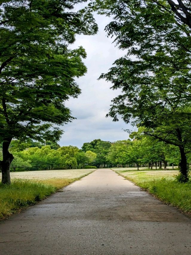 日本大阪-拍攝大阪城的絕佳之處：西の丸庭園