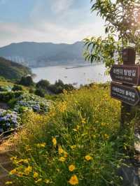 여름꽃들이 만개한 거제 지세포진성꽃동산