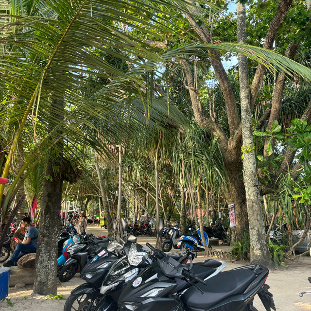 Yanui beach ⛰️🏝️