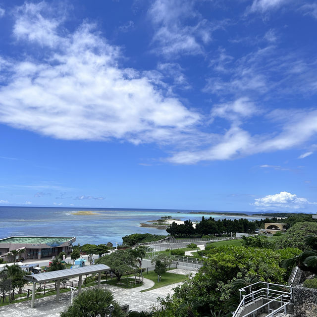 Churaumi Aquarium Okinawa