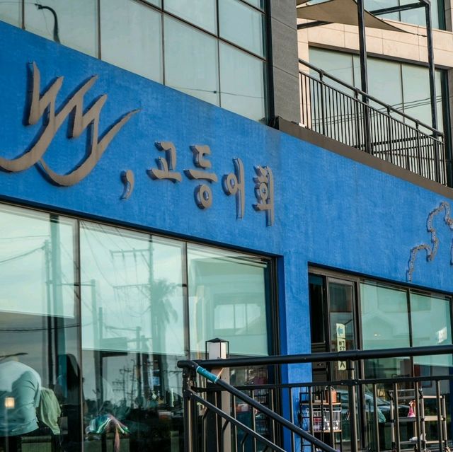 제주 여행 중 들려보면 좋은 노도 고등어회