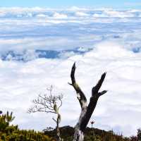 Exploring Mount Kota Kinabalu: A Peak Adventure in Borneo