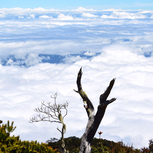 Exploring Mount Kota Kinabalu: A Peak Adventure in Borneo