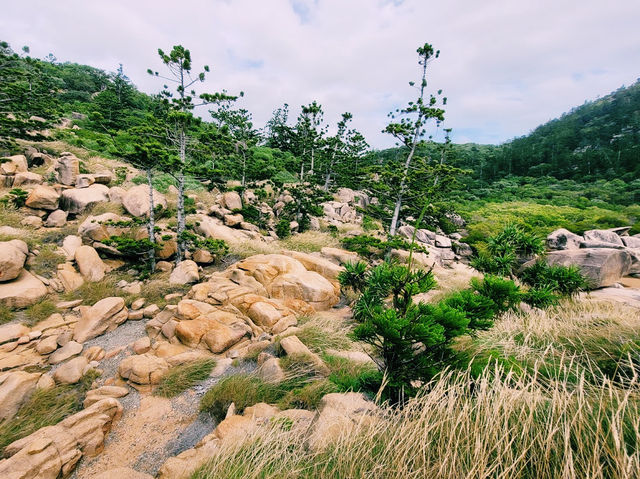 Arthur Bay Lookout